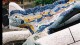parc_guell__dragon_2