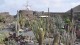 61_jardin_cactus