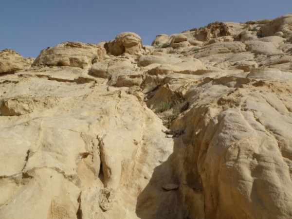 01_petra_siq