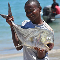 Les pêcheers de Nosy Be