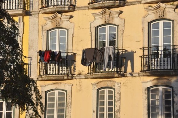 15_linge