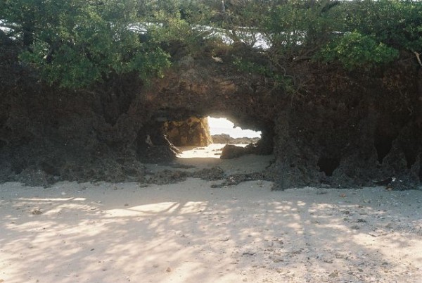 calcaire_corallien