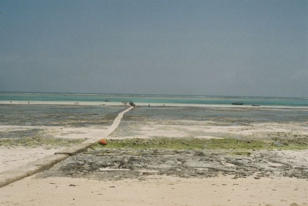 digue