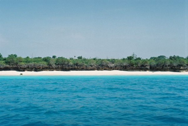 ras_nungwi