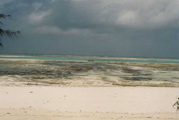 retour_de_peche