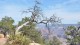 0193_grand_canyon