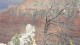 0365_grand_canyon