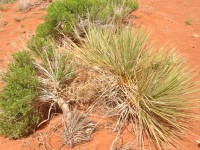 0551_monument_valley