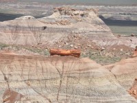 0690_petrified_forest