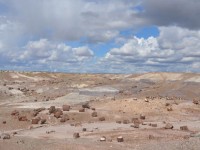 0746_petrified_forest