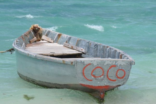 015_coco