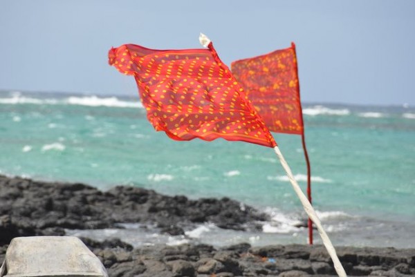 020_drapeaux
