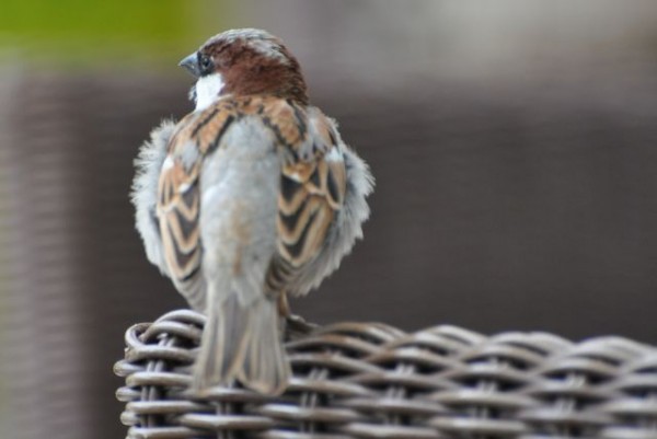 045