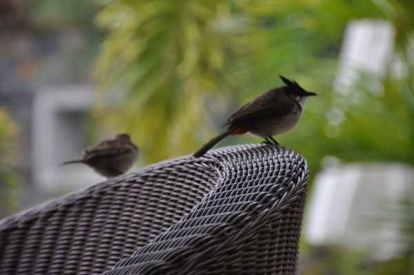 075