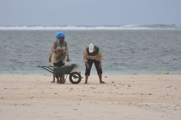 093_nettoyage_plage