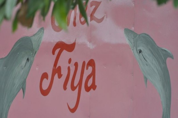 142_fiya