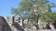 165_chichen_itza