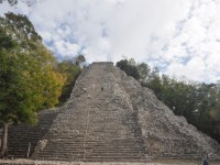 364_coba