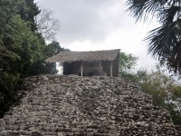 370_coba