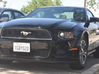 mustang_californie_01