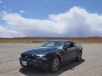 mustang_californie_06