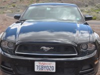 mustang_californie_08