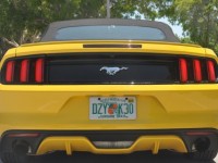 mustang_florida_01