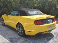 mustang_florida_02