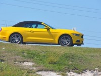 mustang_florida_04