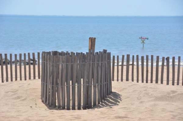 0007_chatelaillon_plage