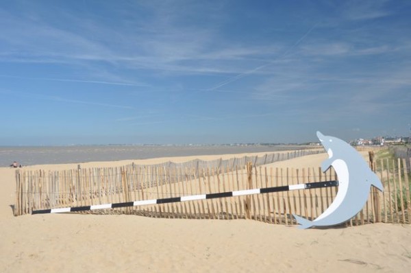 0015_chatelaillon_plage_dauphin