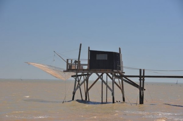 0102_ile_aix_carrelet