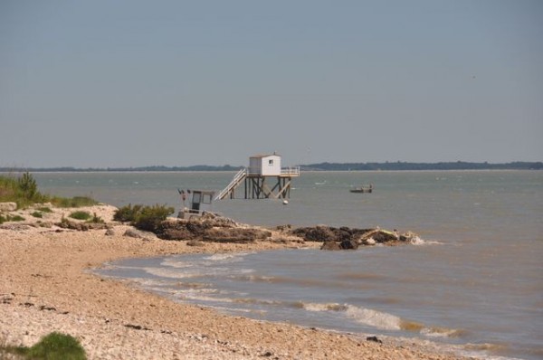 0113_ile_aix_carrelet