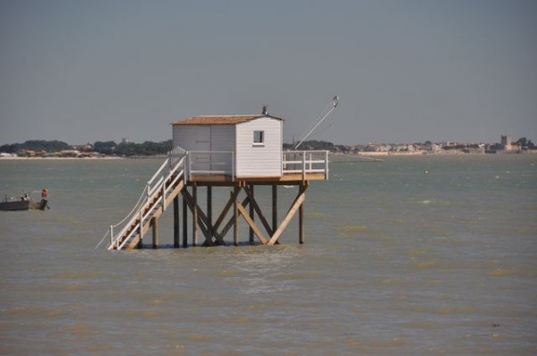 0119_ile_aix_carrelet