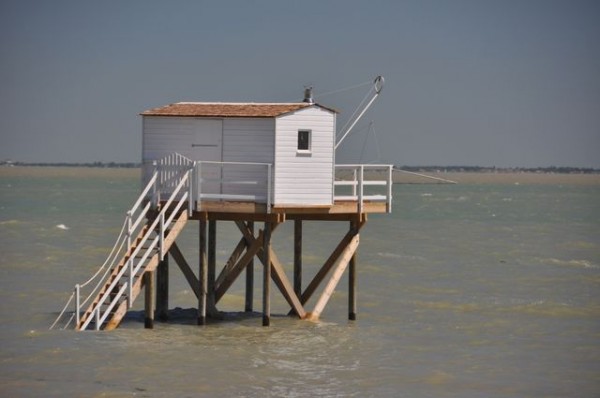 0120_ile_aix_carrelet