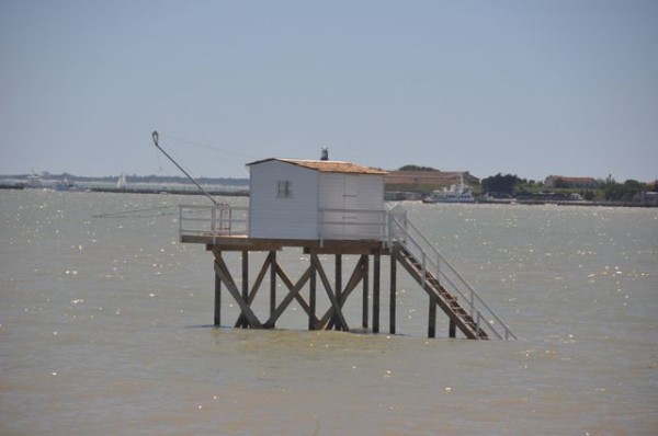 0124_ile_aix_carrelet