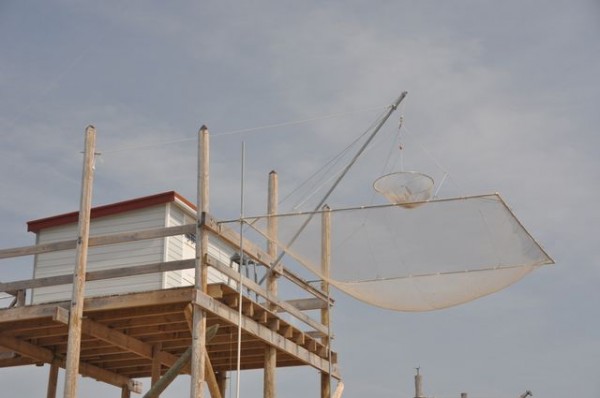 0172_angoulins_carrelet