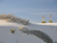 0419_white_sands