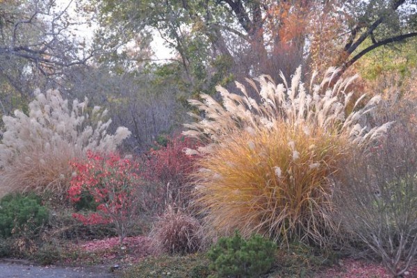 0521_albuquerque