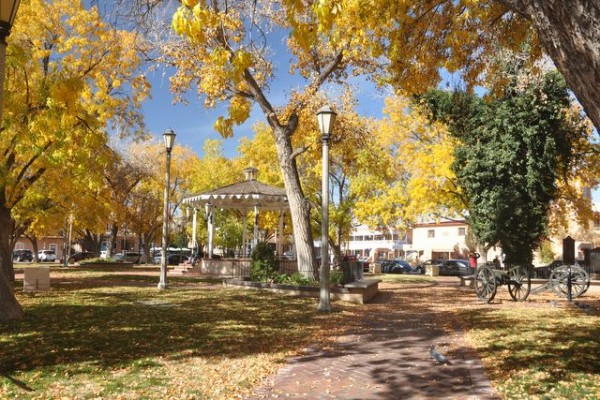 0572_albuquerque_automne