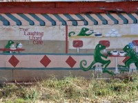 0964_jemez_laughing_lizard