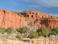 0970_jemez_trail
