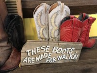 3671_jemez_boots