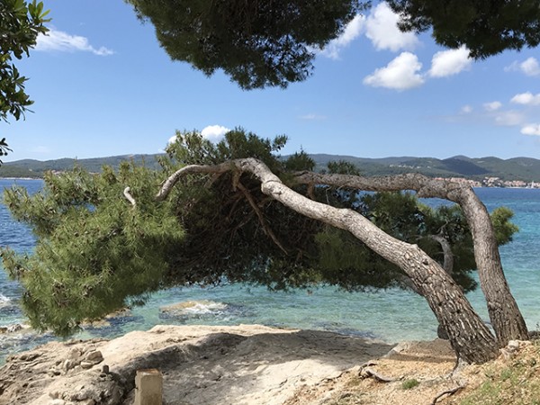 orebic_bord_de_mer_07_sm