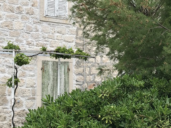 orebic_fenetre_verte_02