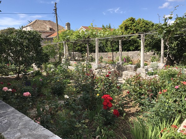 orebic_jardin_presbytere_1