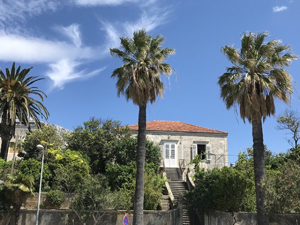 orebic_maison_palmiers