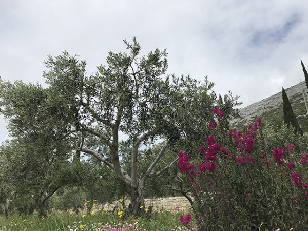 orebic_monastere_franciscain_01