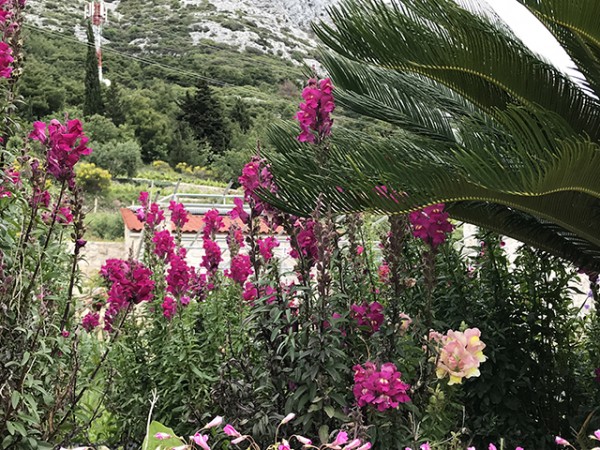 orebic_monastere_franciscain_02_sm