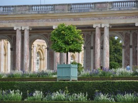 jardin_grand_trianon_versailles_nruaux